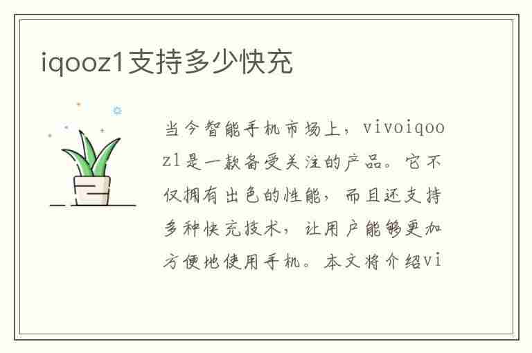 iqooz1支持多少快充(iqooz1支持多少w快充)